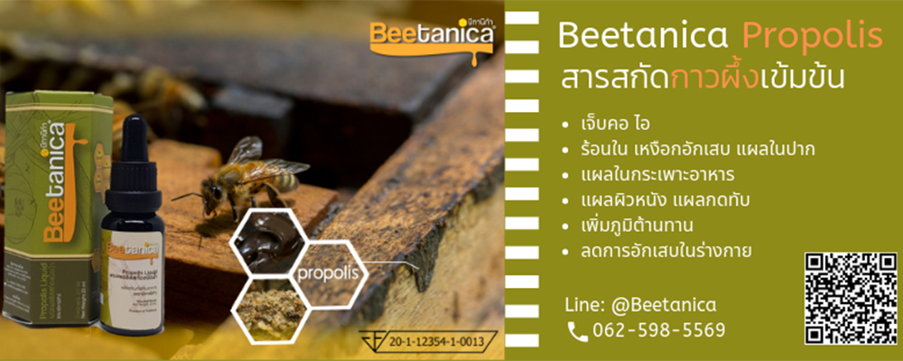 BEETANICA บีทานิก้า