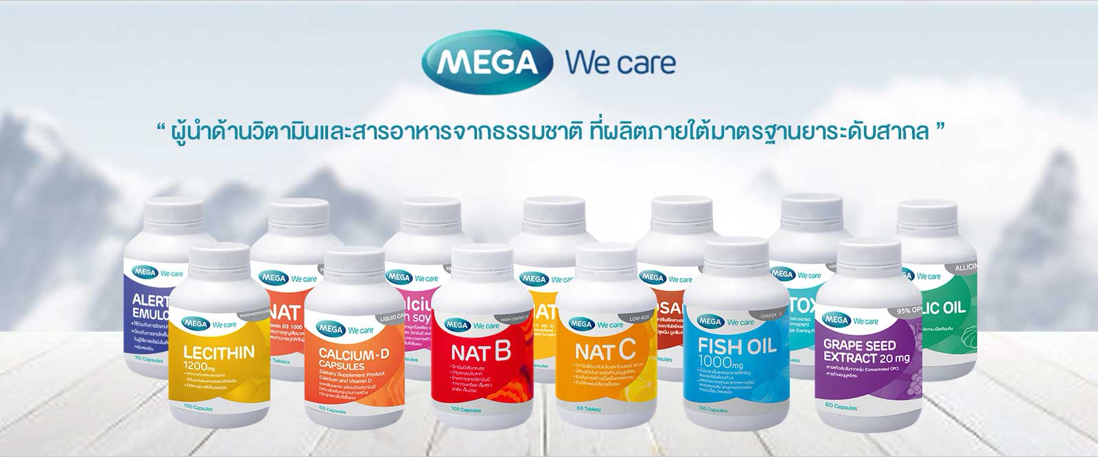 MEGA-WECARE