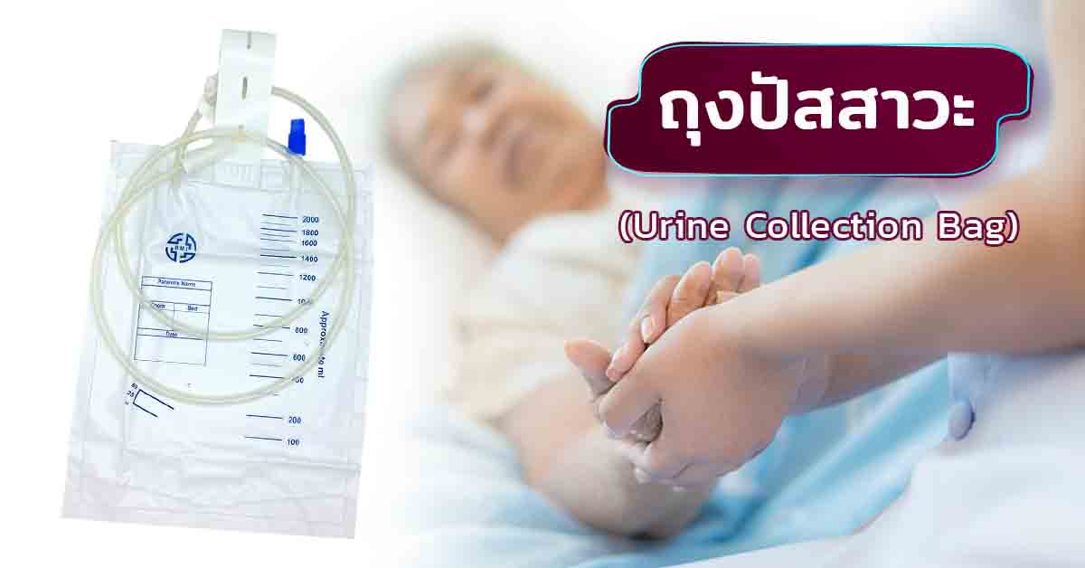 ถุงปัสสาวะ (Urine Collection Bag)