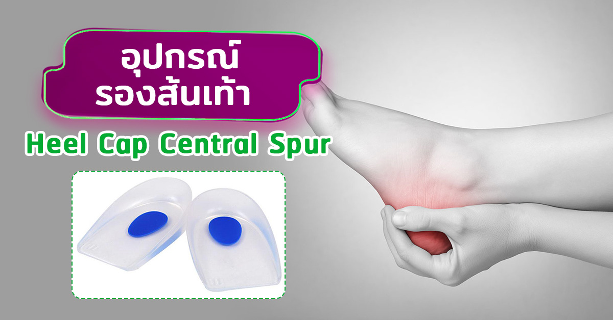 อุปกรณ์รองส้นเท้า (Heel Cap Central Spur)