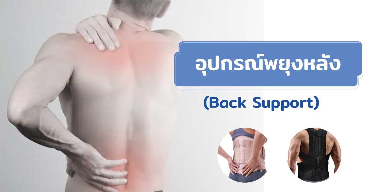 อุปกรณ์พยุงหลัง (Back Support)