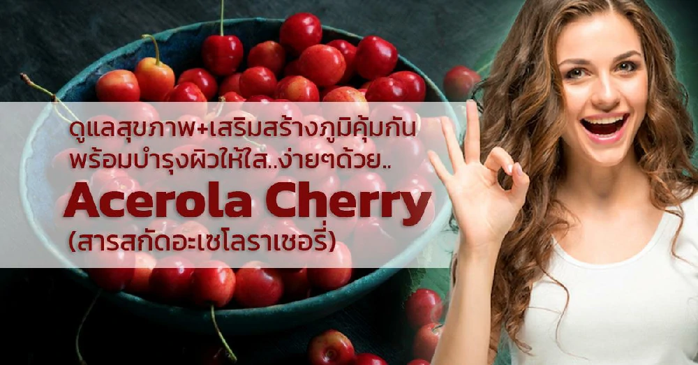 อะเซโรลาเชอรี่ Acerola Cherry