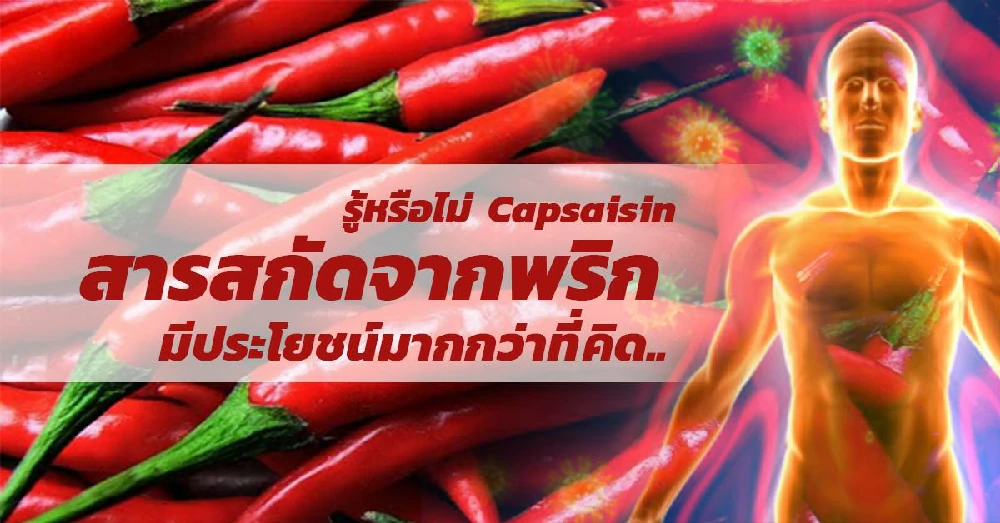 สารสกัดจากพริก (Capsaisin)