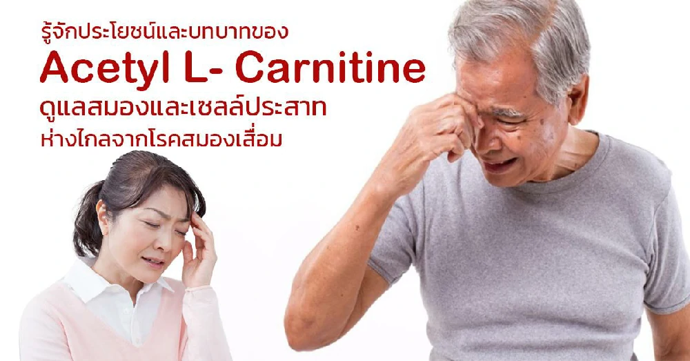 Acethyl-L-Carnitine (อะเซตทิลแอลคาร์นิท)