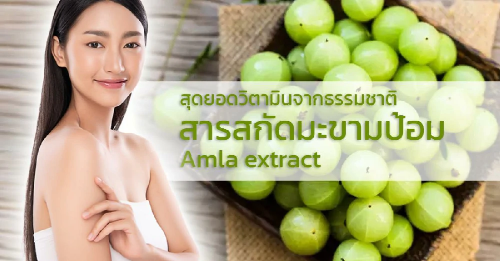 สารสกัดมะขามป้อม Amla extract