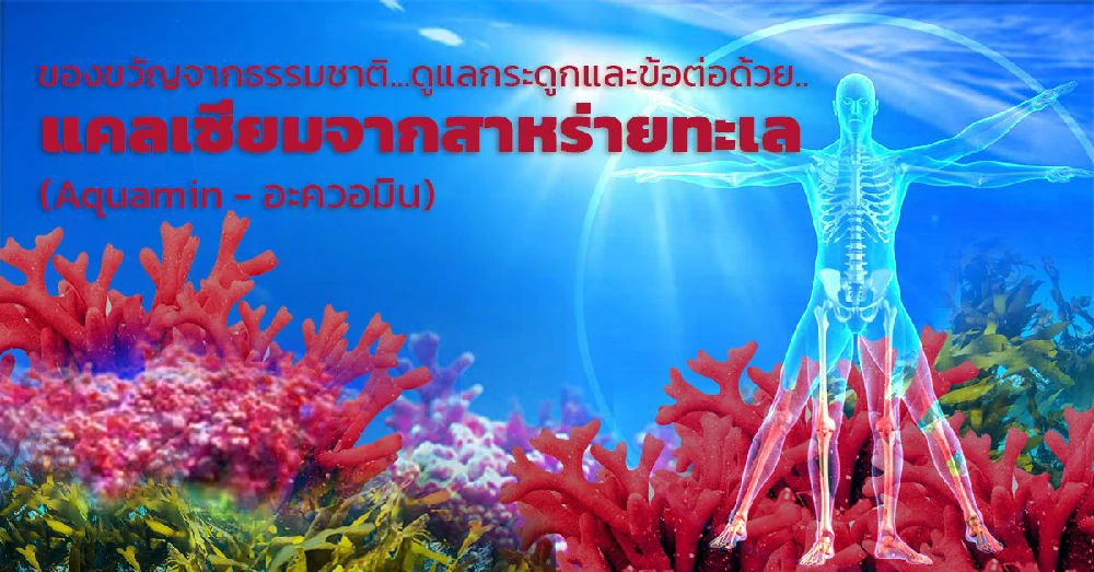 Aquamin (อะควอมิน-แคลเซี่ยมจากสาหร่ายทะเล)
