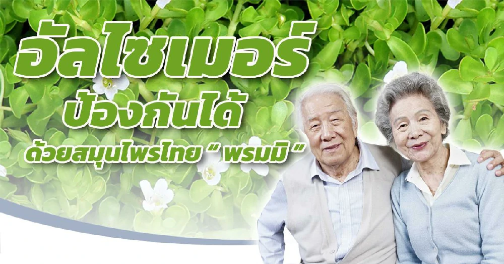 พรมมิ (Bacopa monnieri)