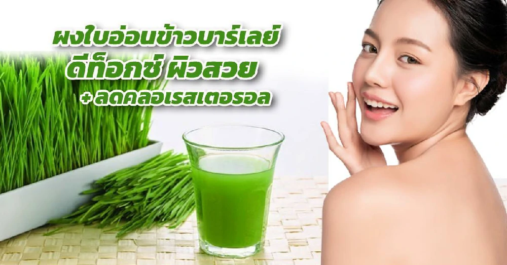 ผงใบอ่อนข้าวบาร์เลย์ (Barley powder)