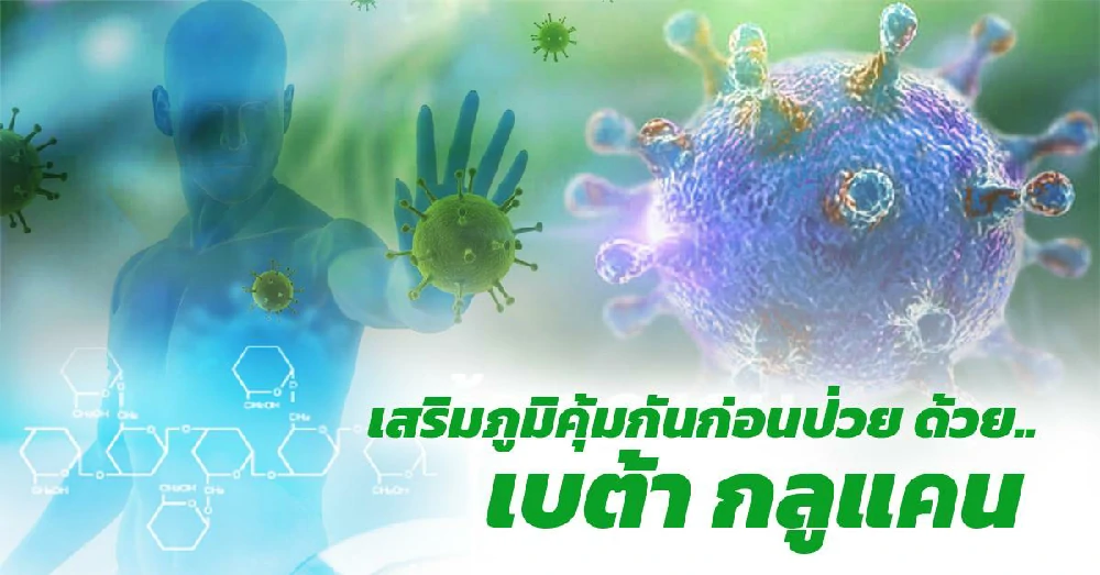 เบต้ากลูแคน (Beta-glucan)