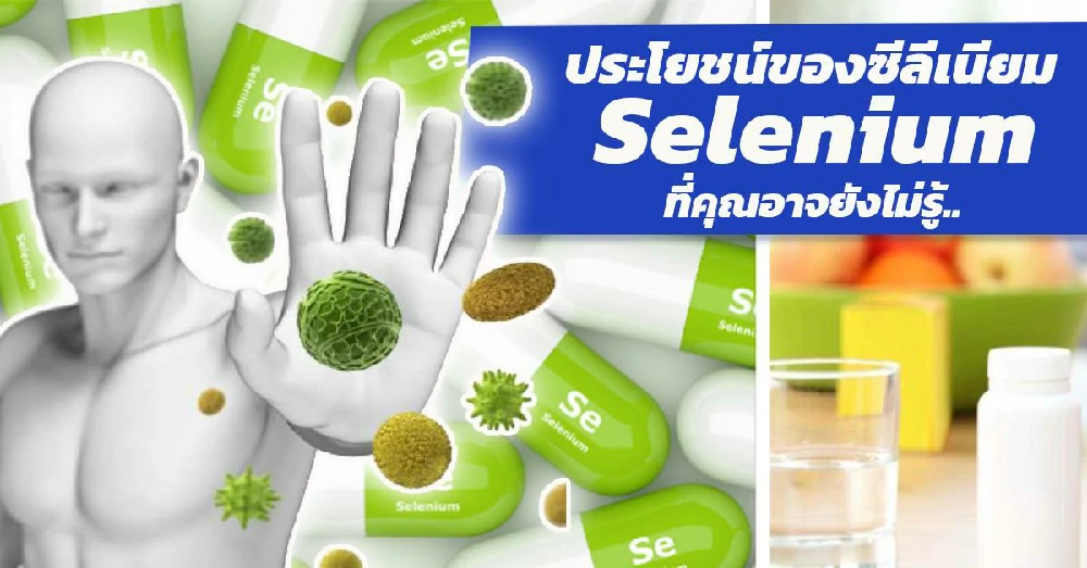 ซีลีเนี่ยม (Selenium)