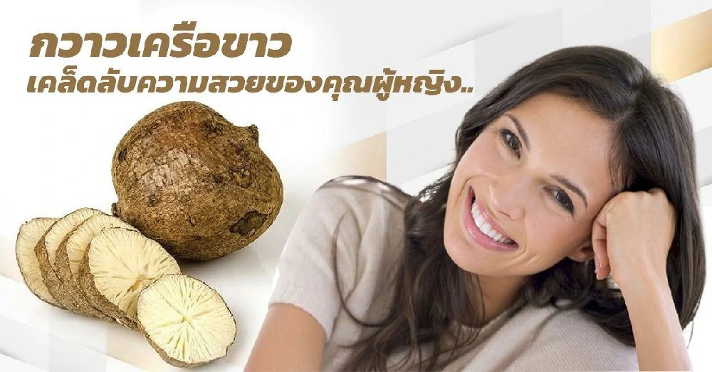 กวาวเครือขาว (Pueraria Mirifica)