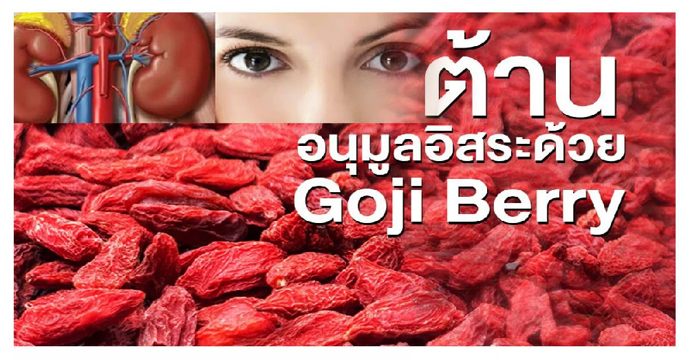 โกจิเบอรี่สกัด (Gojiberry Extract)