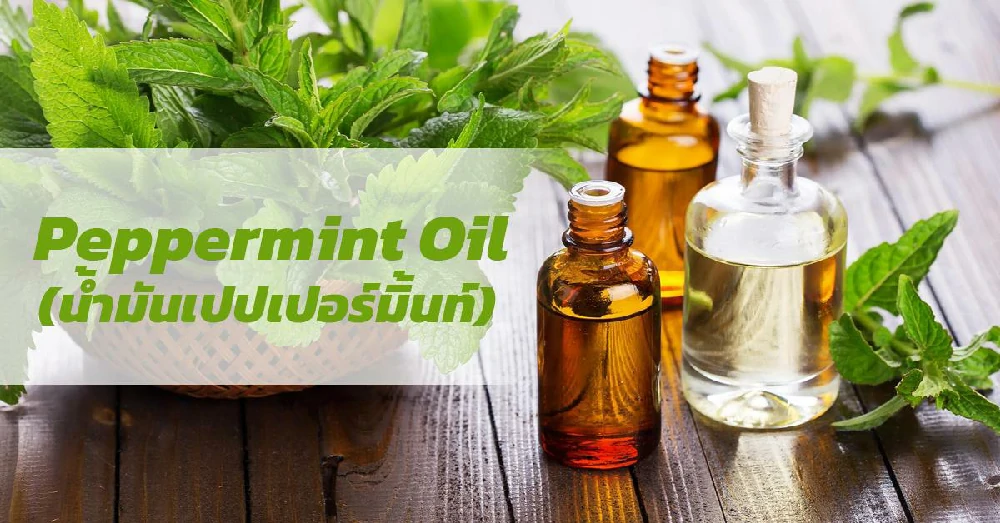  น้ำมันเปปเปอร์มิ้นท์ Peppermint Oil