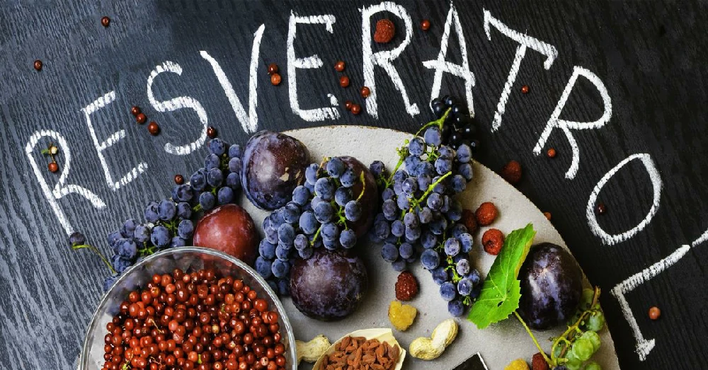 Resveratrol (เรสเวอราทรอล)
