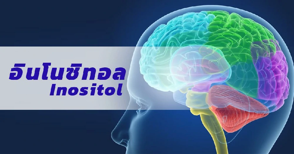 อินโนซิทอล (Inositol)