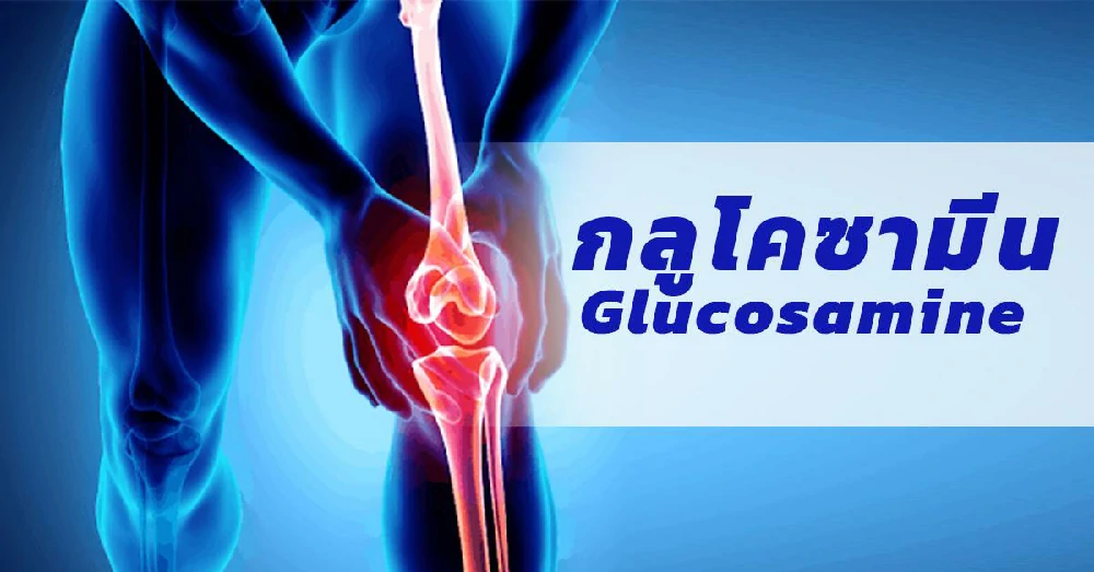 กลูโคซามีน Glucosamine