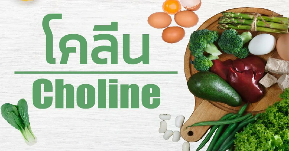 โคลีน Choline