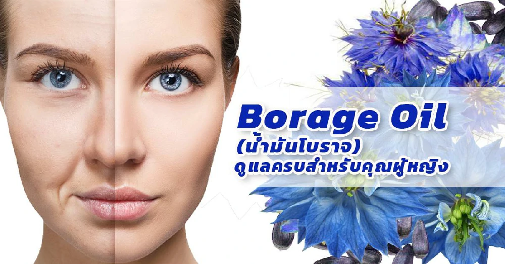 น้ำมันโบราจ Borage Oil