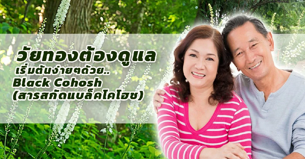 สารสกัดแบล็คโคโฮช (Black Cohosh)