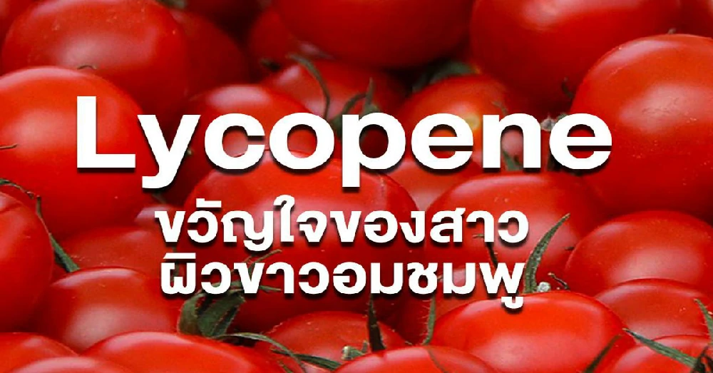 ไลโคพีน Lycopene