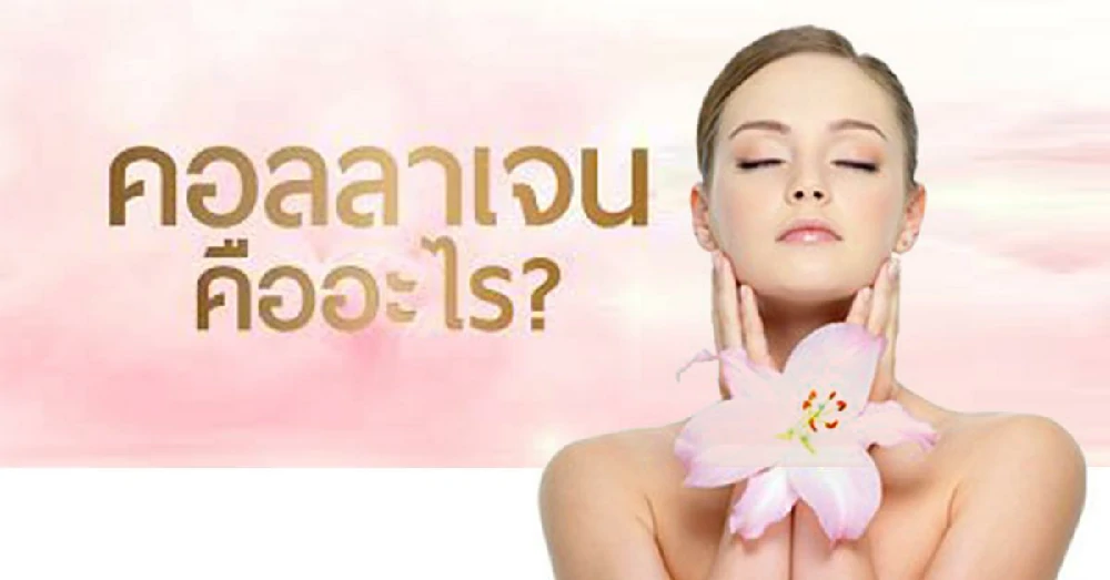 Collagen (คอลลาเจน)