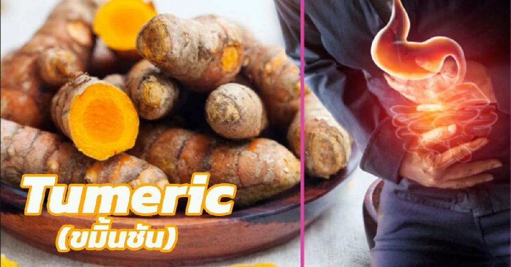 ขมิ้นชัน (Tumeric)