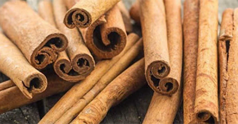 สารสกัดจากอบเชย (Cinnamon Extract)