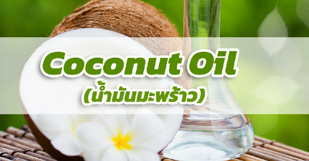 น้ำมันมะพร้าว (Coconut Oil)