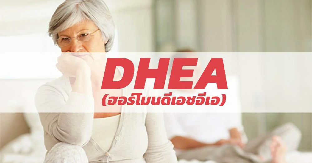 ฮอร์โมนดีเอชอีเอ (DHEA)