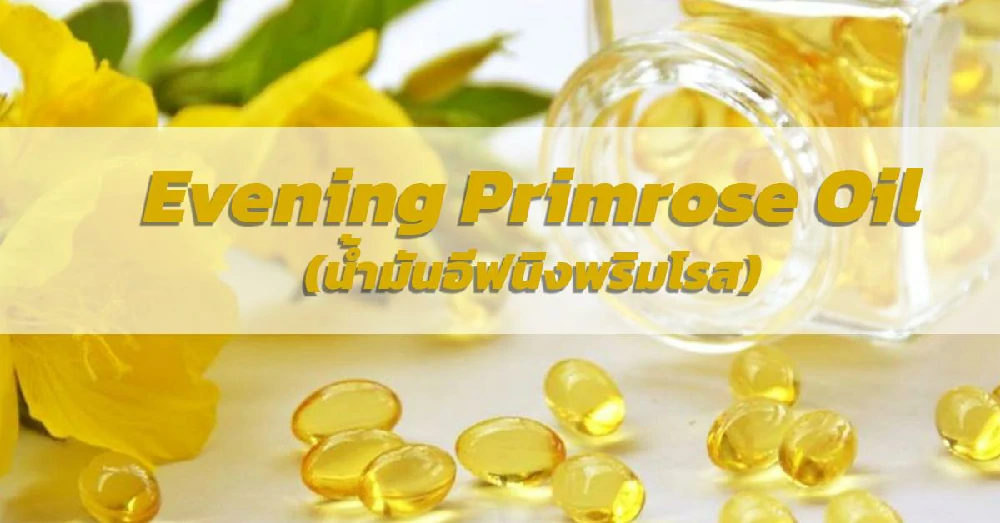 น้ำมันอีฟนิ่งพริมโรส Evening Primrose Oil 