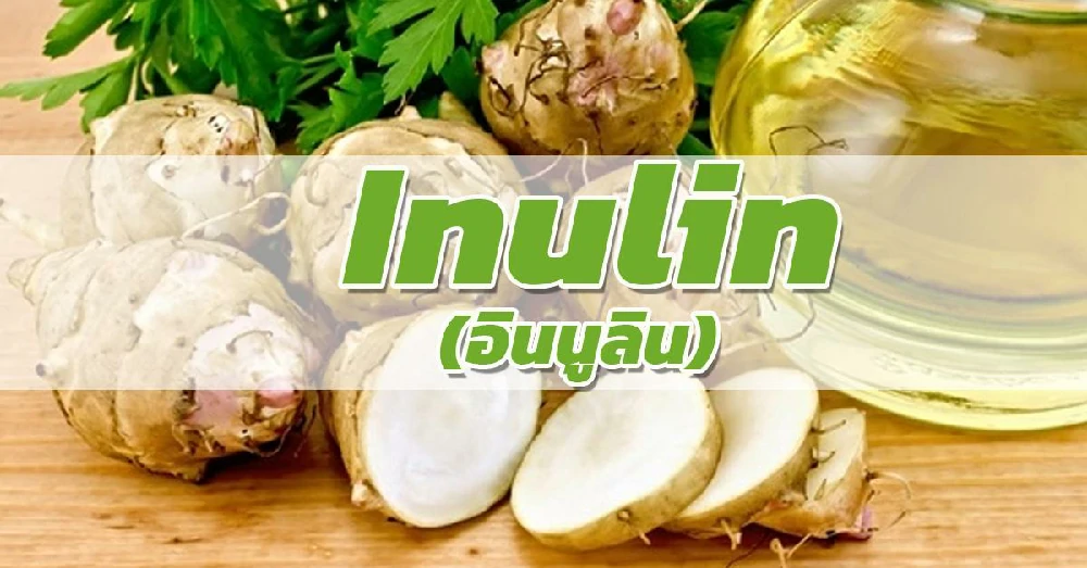 อินนูลิน (Inulin)