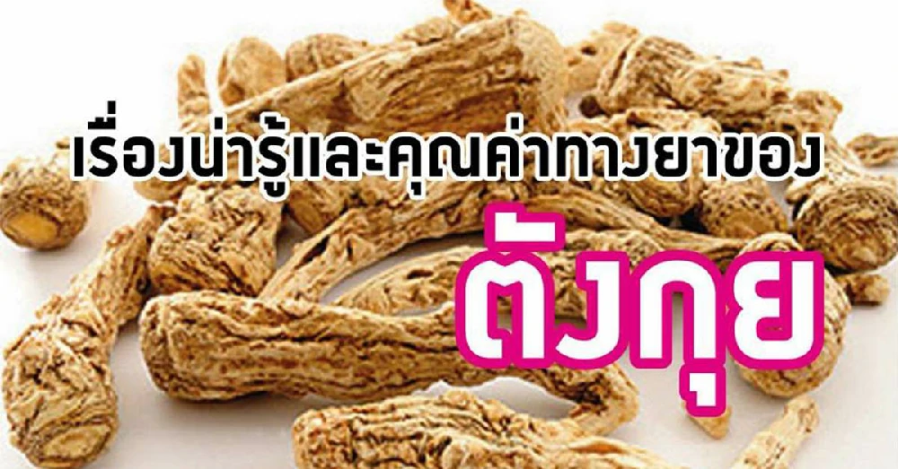 ตังกุย (Dong quai)