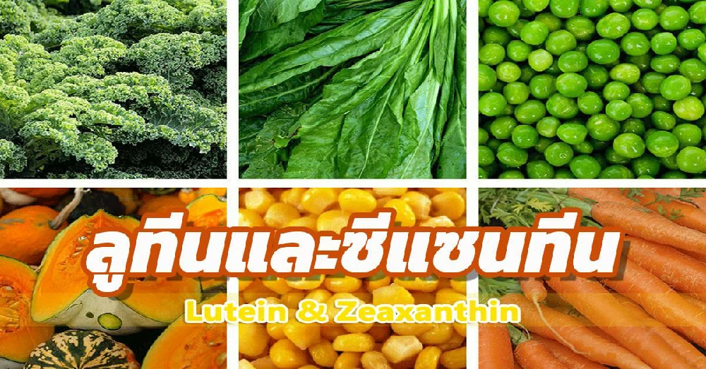 ลูทีนและซีแซนทีน (Lutein,Zeaxanthin)