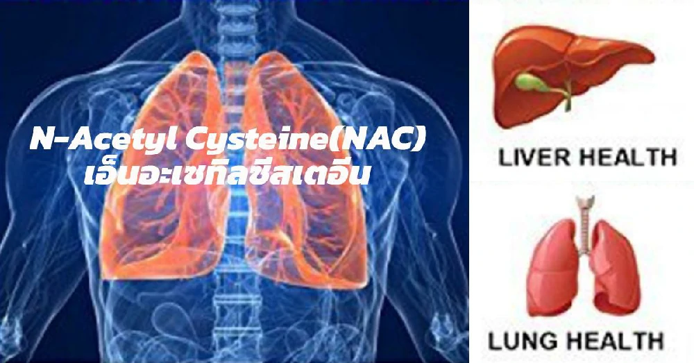 เอ็นอะเซทิลซีสเตอีน N-Acetyl Cysteine (NAC)