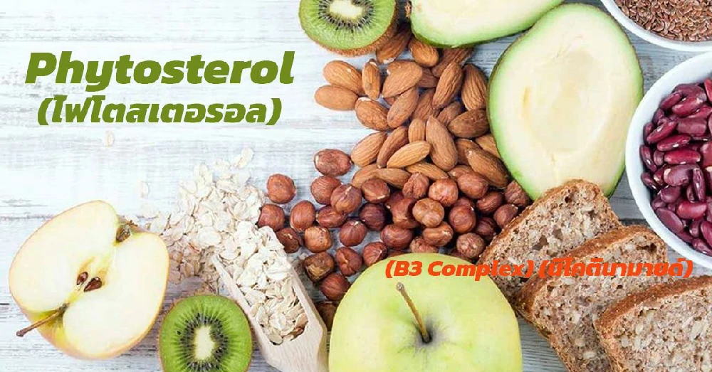  ไฟโตสเตอรอล (Phytosterol)