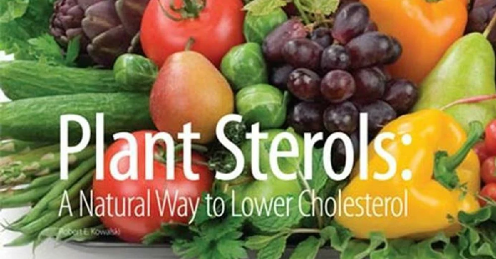 แพล้นท์สเตอรอล (Plant Sterol)