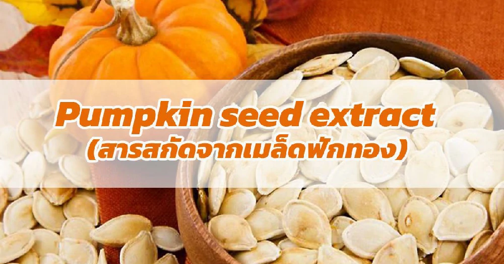 สารสกัดจากเมล็ดฟักทอง (Pumpkin seed extract)