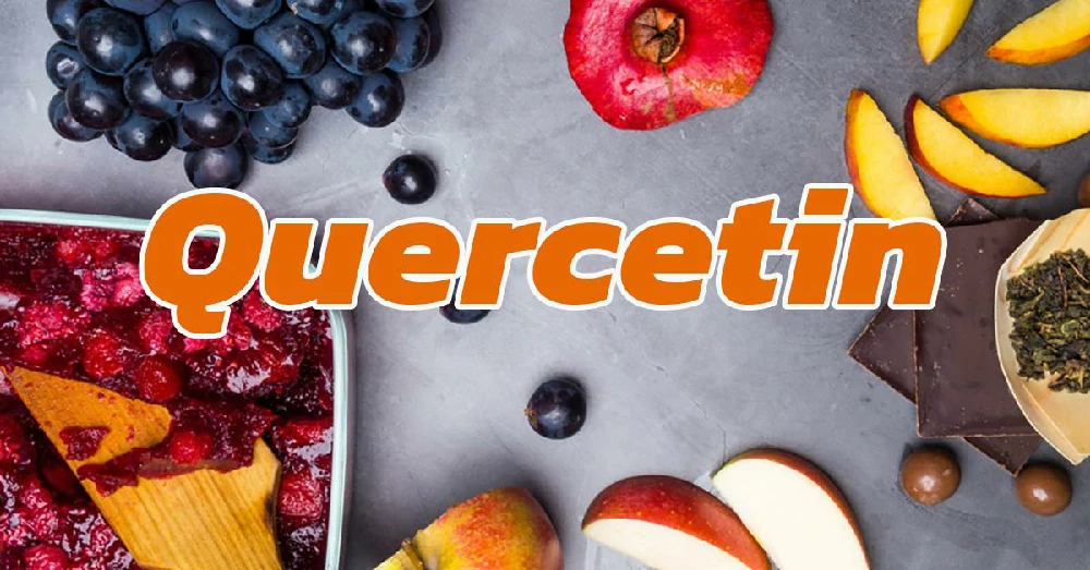 เควอซิทีน Quercetin 