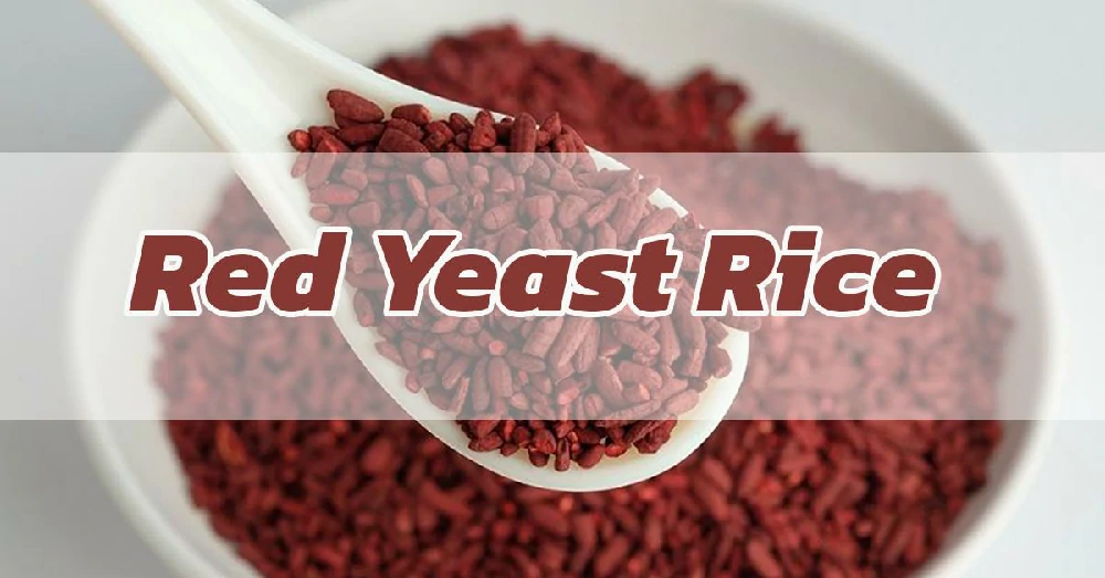 ข้าวยีสต์แดง Red Yeast Rice