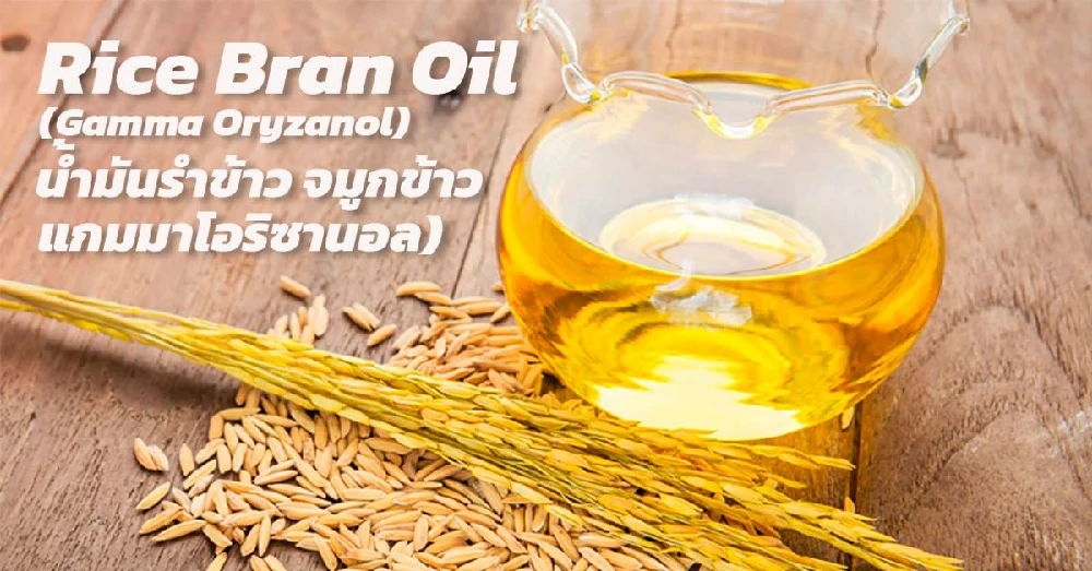 น้ำมันรำข้าว จมูกข้าว Rice Bran Oil