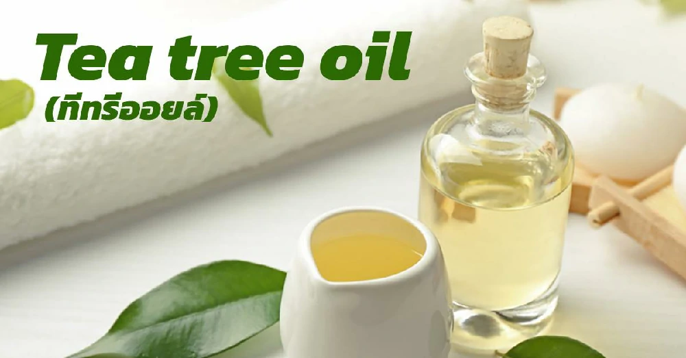 ทีทรีออยล์ (Tea tree oil)