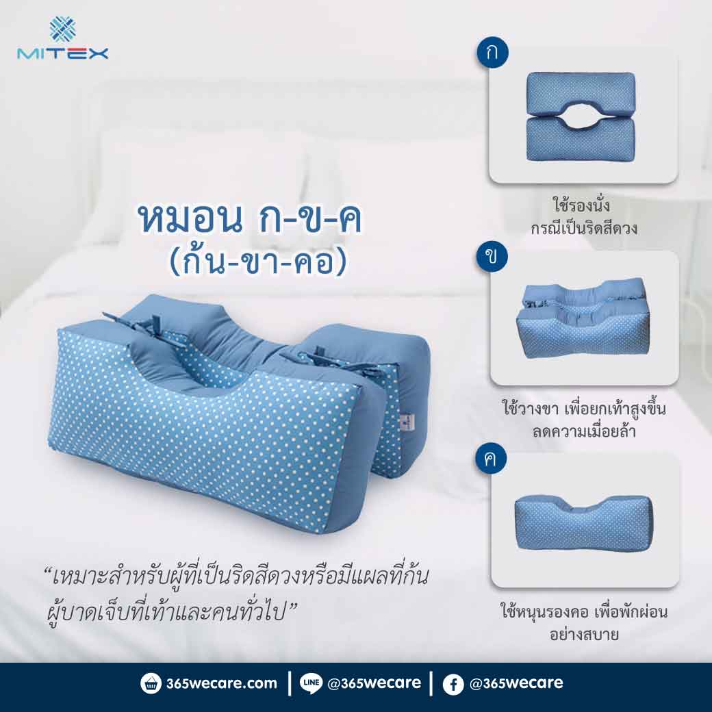 MITEX หมอน กขค (รองก้น-ขา-คอ) ไมเท็กซ์