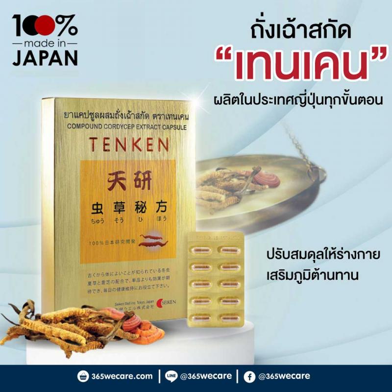 ถั่งเฉ้าสกัด TENKEN Condyceps 