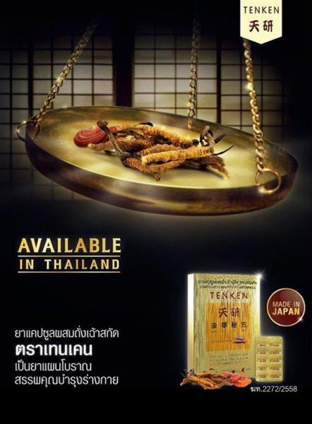 ถั่งเฉ้าสกัด TENKEN Condyceps 