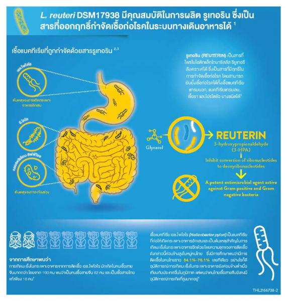 BIOGAIA Gastrus Chewable Tablets 10s ไบโอ กาย่า แกสตรัส ชูเบิล แทบลิท 10เม็ด