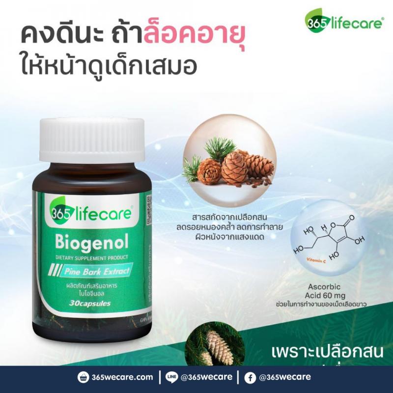 365Lifecare Biogenol Pine Bark Extract 30แคปซูล. 365 ไลฟ์แคร์ ไบโอจีนอล