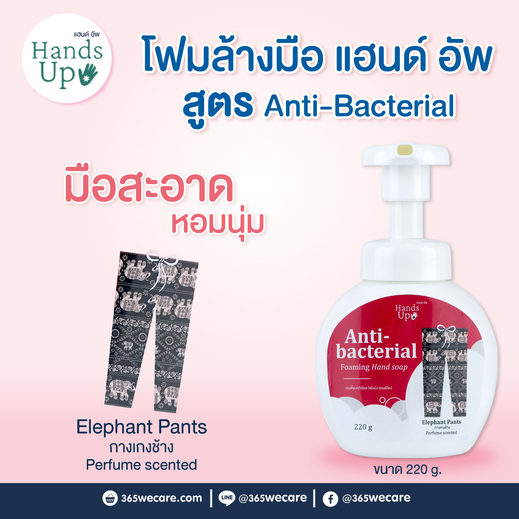 Hand Up Anti-bacterial Foaming Hand Soap 220g. Elephant Pants แฮนด์อัพ แอนตี้แบคทีเรียล โฟมมิ่งแฮนด์ โซป กลิ่น กางเกงช้าง
