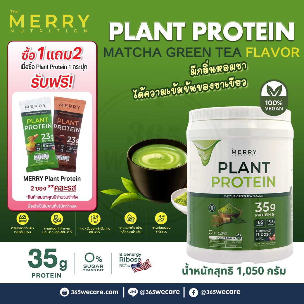 MERRY Plant Protein Green Tea 1050 g. เมอร์รี่ แพลนท์ โปรตีน กลิ่นมัทฉะชาเขียว