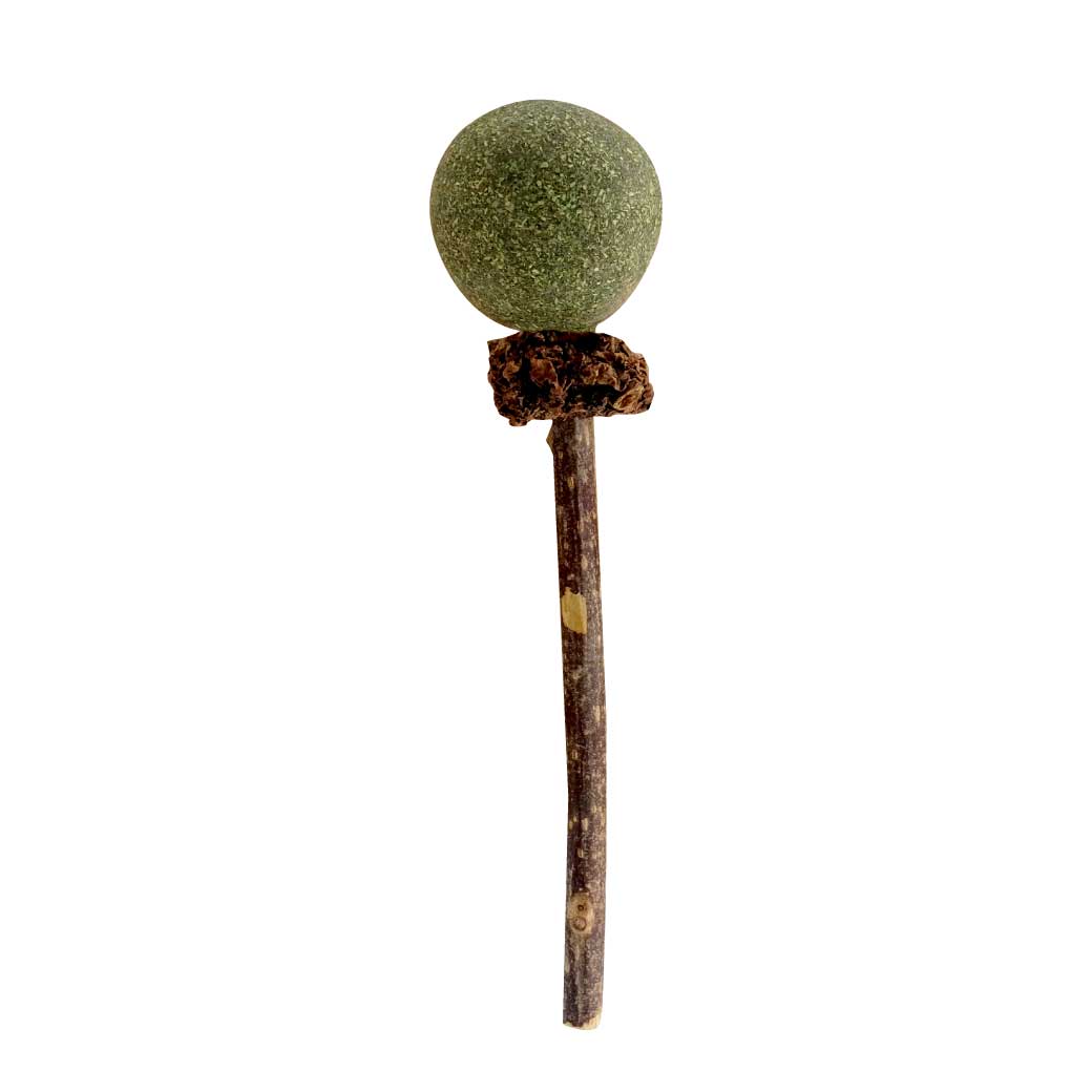 BIOLINE Matatabi Catnip Lollipop 1ชิ้น  ไบโอไลน์ อมยิ้ม ไม้มาทาทาบิ สำหรับแมว