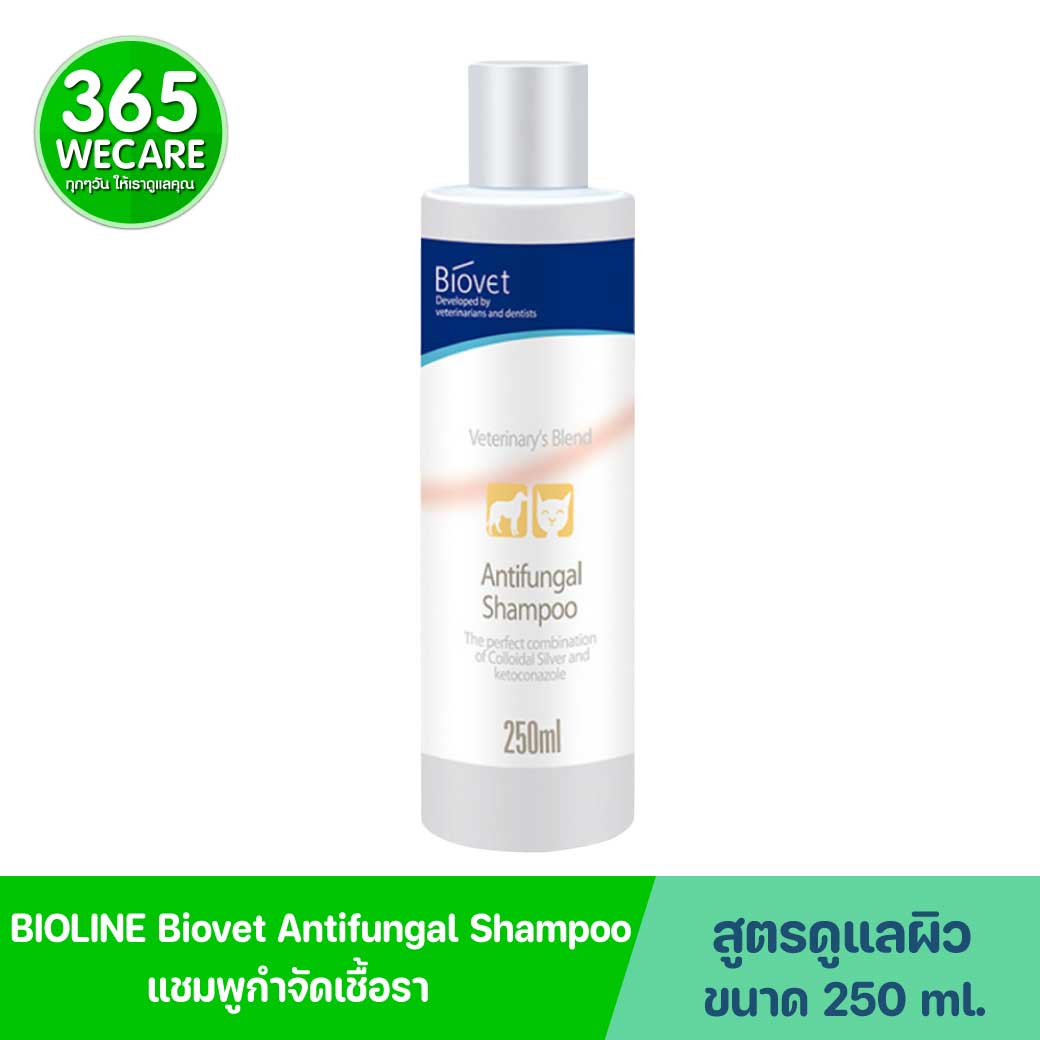 BIOLINE Biovet Antifungal Shampoo 250ml. ไบโอไลน์ แชมพูอาบน้ำ สุนัขและแมว สูตรกำจัดเชื้อรา